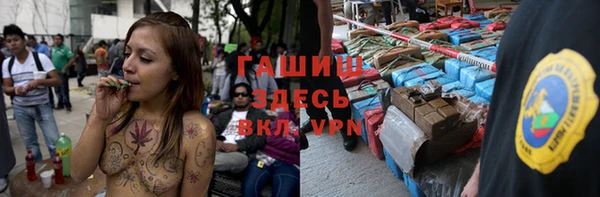 сатива Зеленокумск