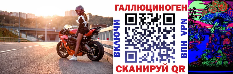 Псилоцибиновые грибы прущие грибы  Купить  Зуевка 