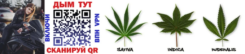 Купить  Зуевка  Канабис Bruce Banner 